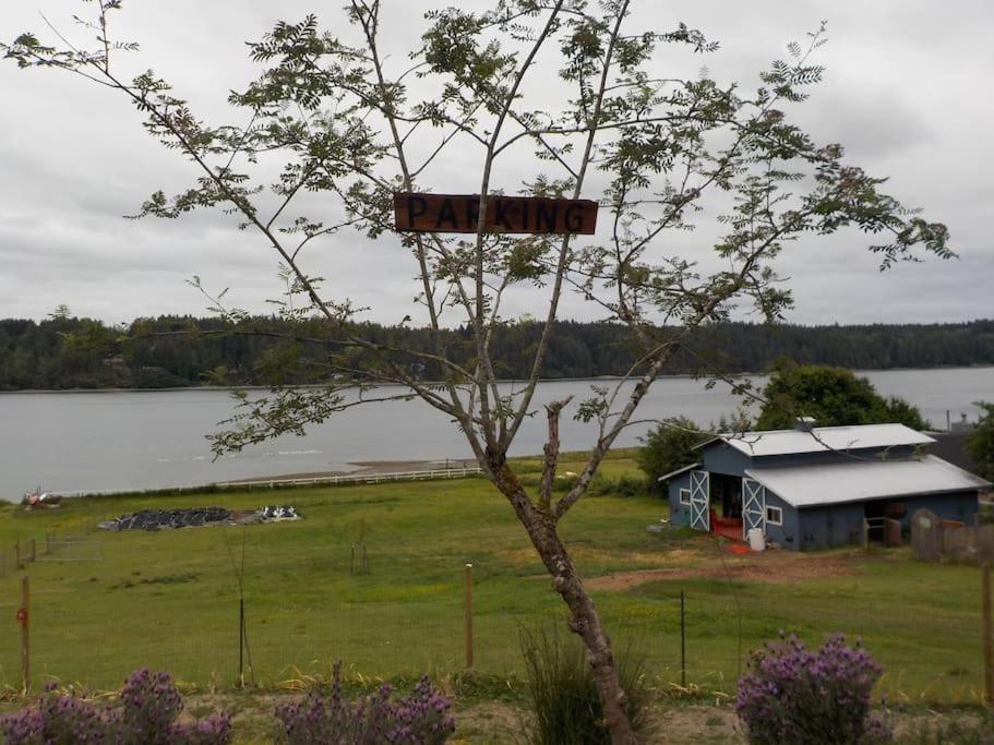 Oceanfront Studio/Loft: Alpacas, Oysters & Kayaks เชลตัน ภายนอก รูปภาพ