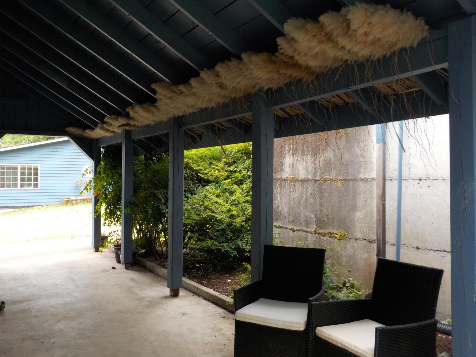 Oceanfront Studio/Loft: Alpacas, Oysters & Kayaks เชลตัน ภายนอก รูปภาพ
