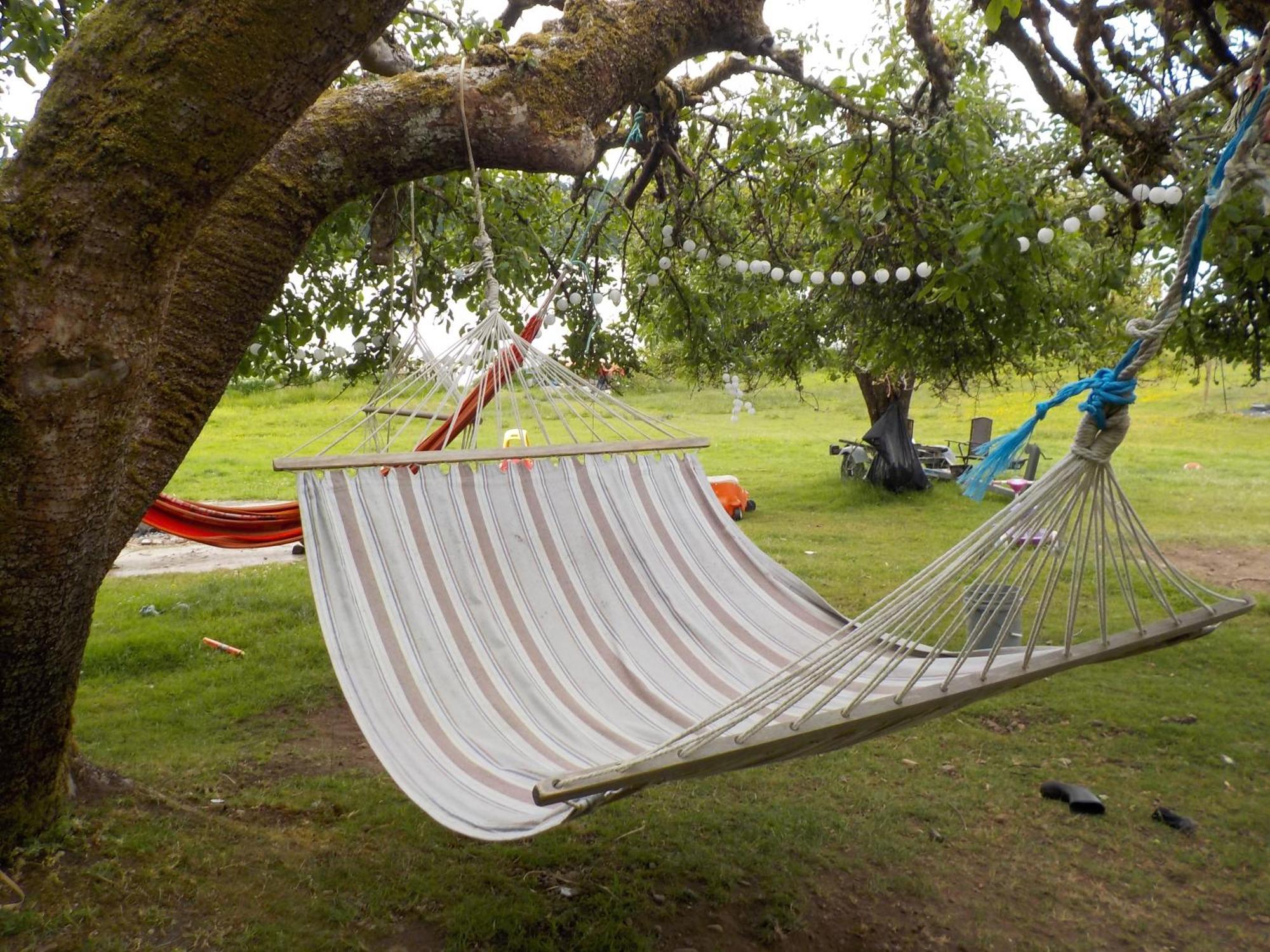 Oceanfront Studio/Loft: Alpacas, Oysters & Kayaks เชลตัน ภายนอก รูปภาพ